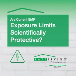 Are Current EMF Exposure Limits Scientifically Protective?