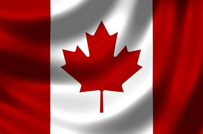 Radio Frequency Electromagnetic Radiation and the Health of Canadians