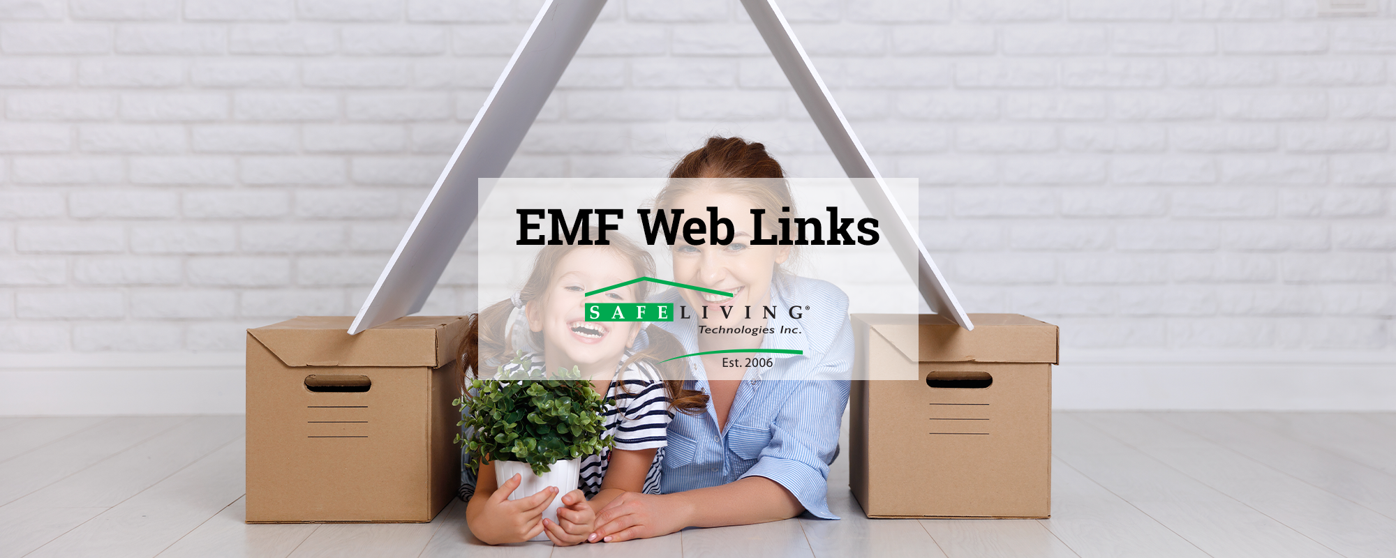 EMF Web Links