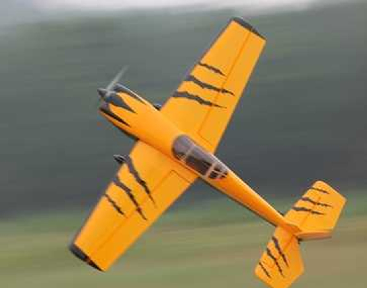 Corvus Racer 540 59" CANOPY- Tiger Scheme - Pro RC Canada