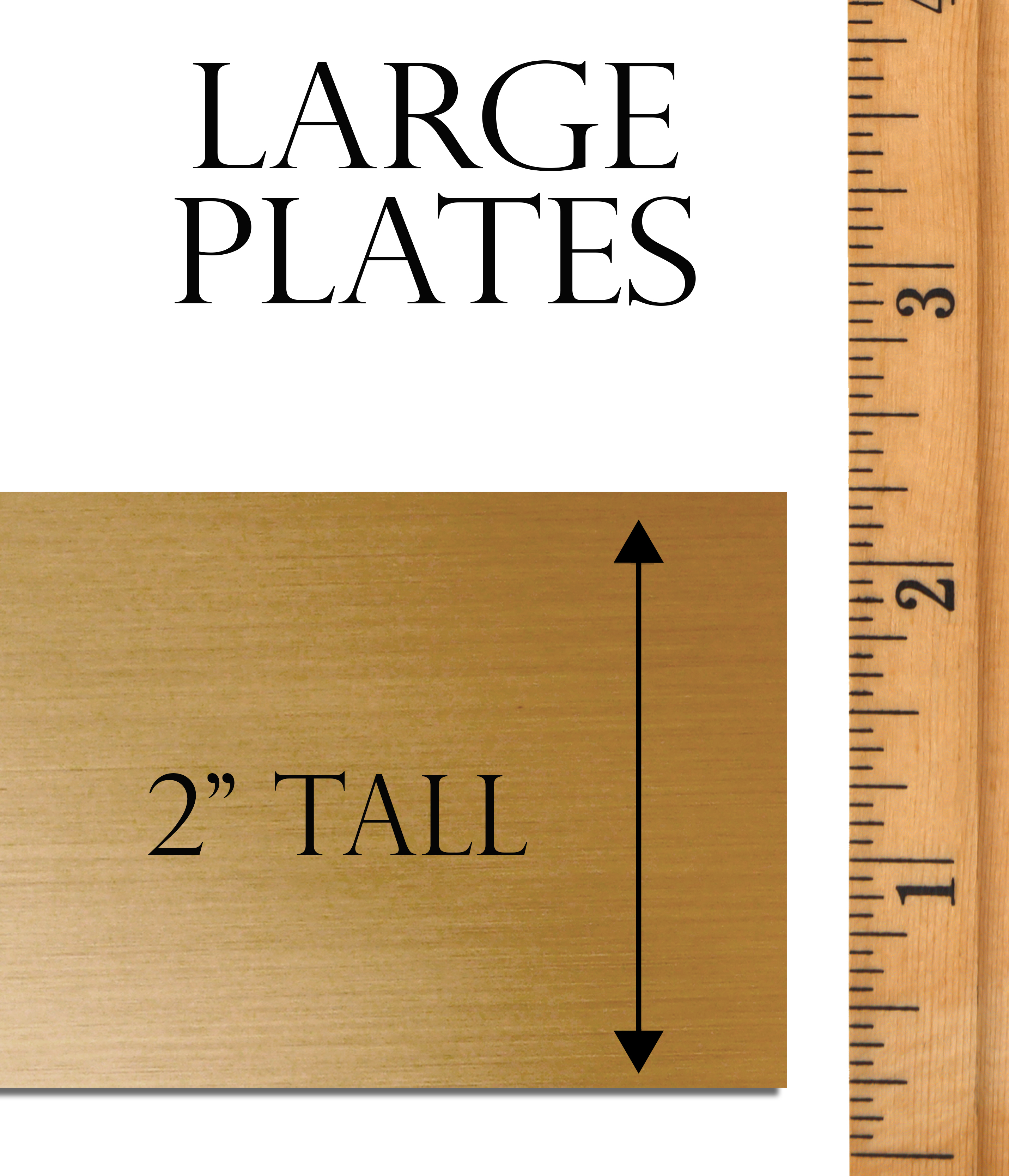 Large Plates 2" Tall (Assorted Widths)