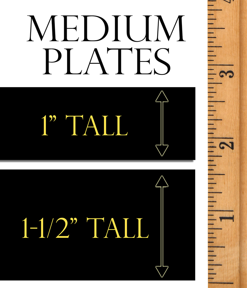 Medium Plates 1" - 1-1/2" Tall (Assorted Widths)