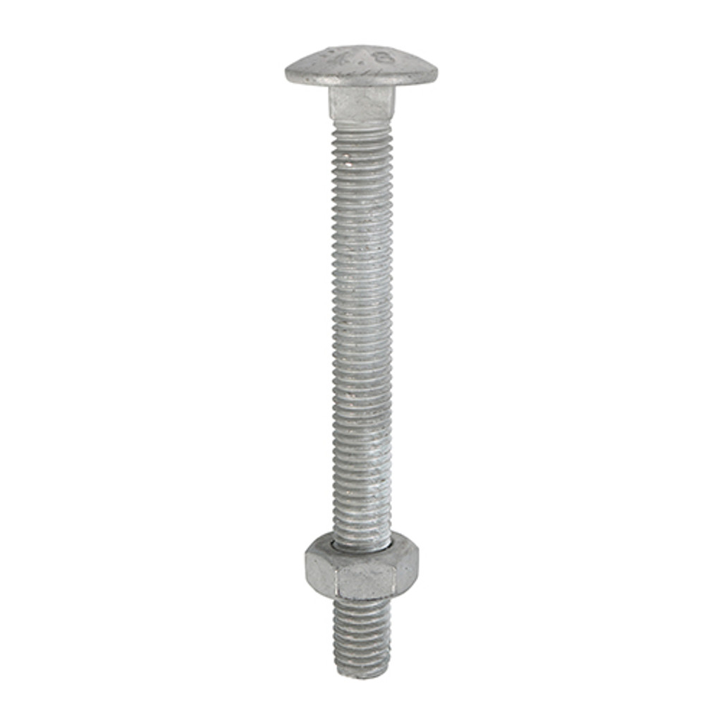 M10 x 150 Carriage Bolt & Hex Nut - HDG (QTY 25)