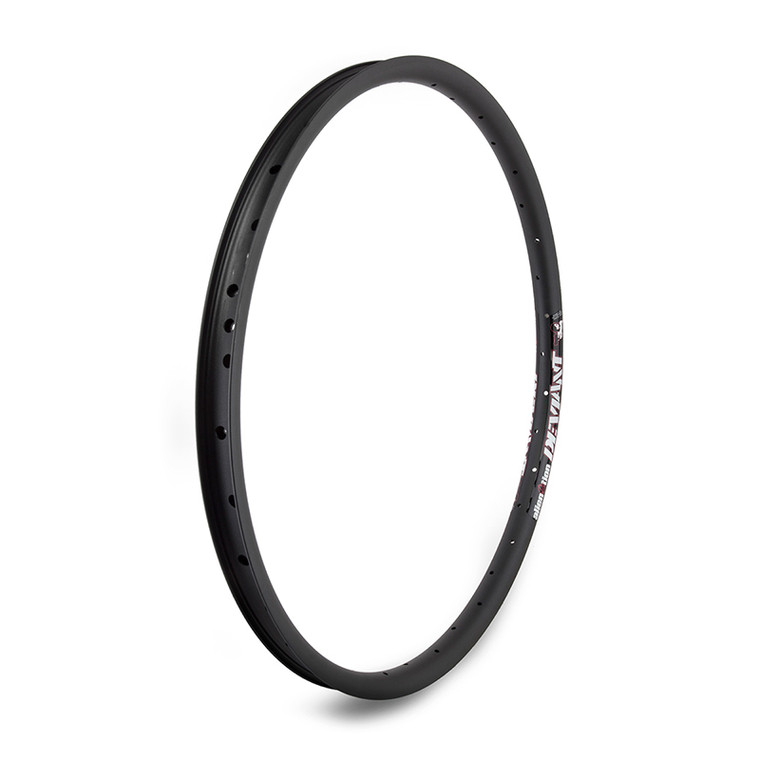 ALIENATION RIM AN (AM) 24 507x25 DEVIANT G69 36 M-BK/BRAKELESS