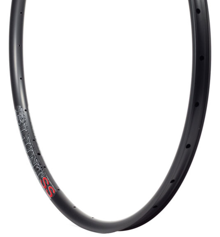 Velocity Blunt SS 29" Rim