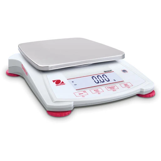 Scales & Balances