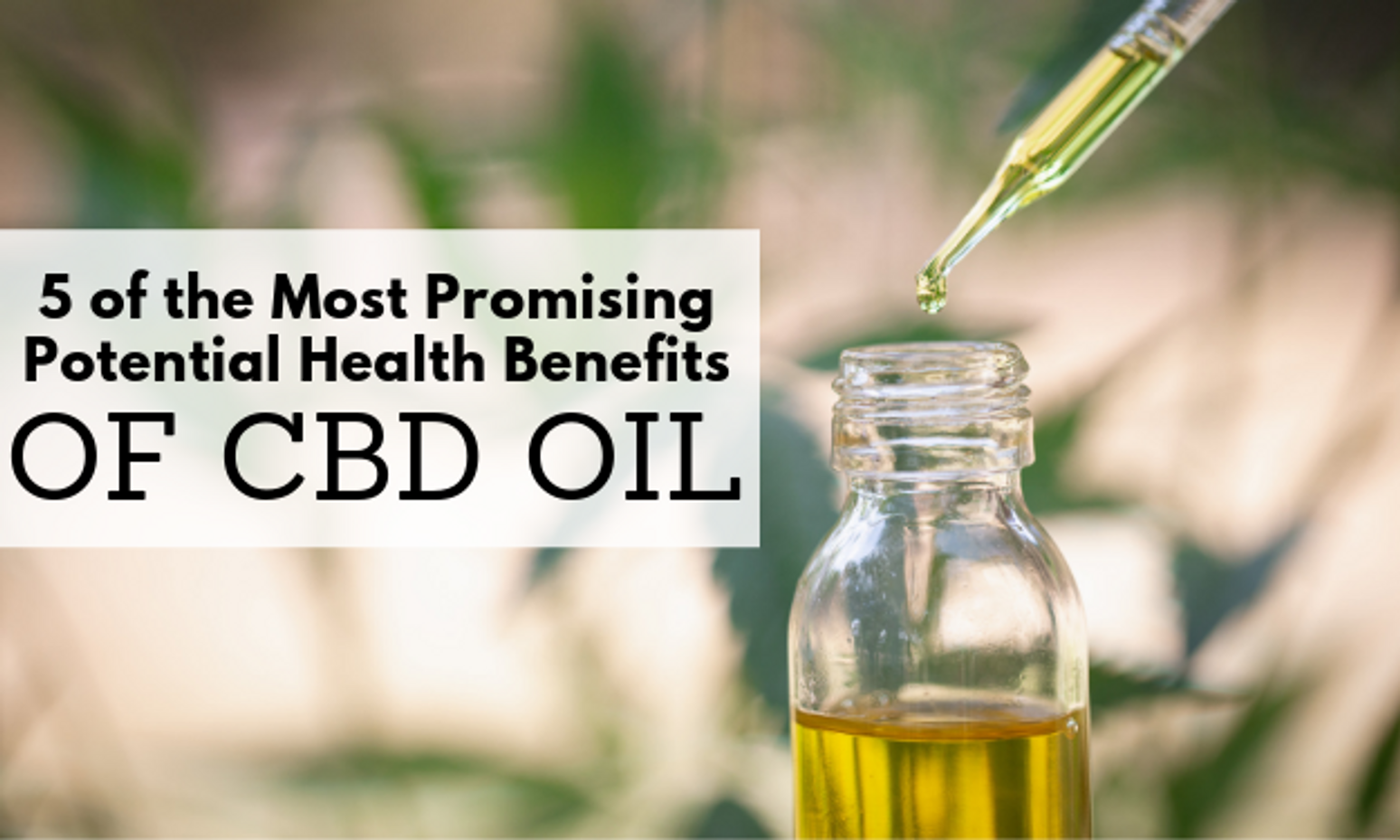 5 of the Most Promising Potential Health Benefits of CBD