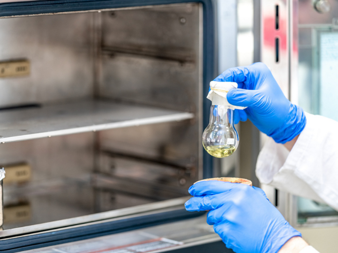 Best Practices for Using Vacuum Oven BHO in Extraction Processes