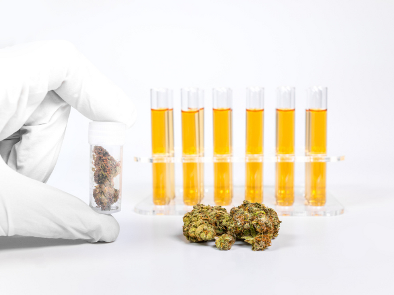 The Closed-Loop Extraction Process for BHO