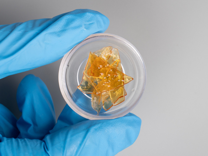 Safety Considerations When Using Vacuum Ovens