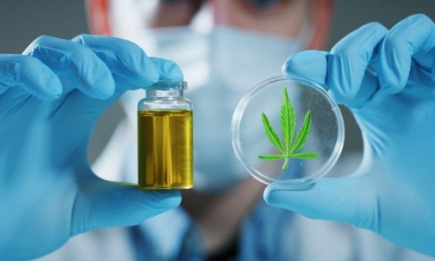 How To Start a Cannabis Testing Laboratory