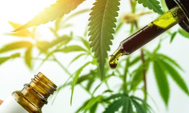 3 of the Top Professions in the Hemp Industry