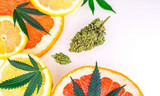 5 Interesting Things To Know About Terpenes