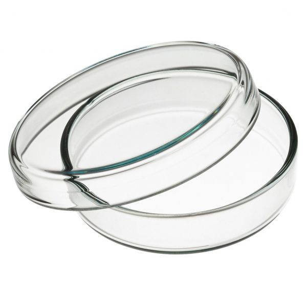 USA Lab Petri Dishes – available in 60mm, 90mm, and 100mm sizes; clear, durable laboratory plates designed for microbial culture growth, sample observation, and general lab use.