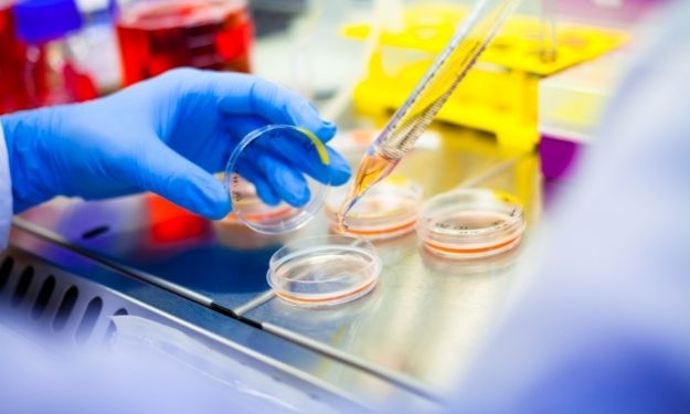 9 Lab Equipment Essentials for Cell Culture Research - USA Lab