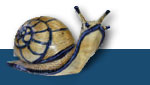 schnecke.jpg