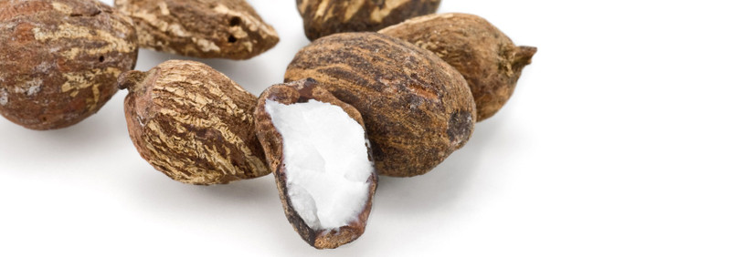 Why TriDerma Chooses Shea Butter as an Ingredient