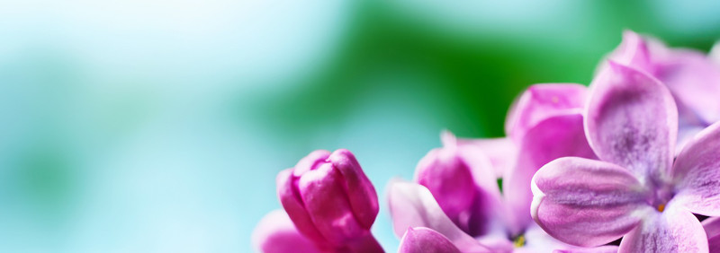 5 Products Perfect for Spring 5 Products Perfect for Spring