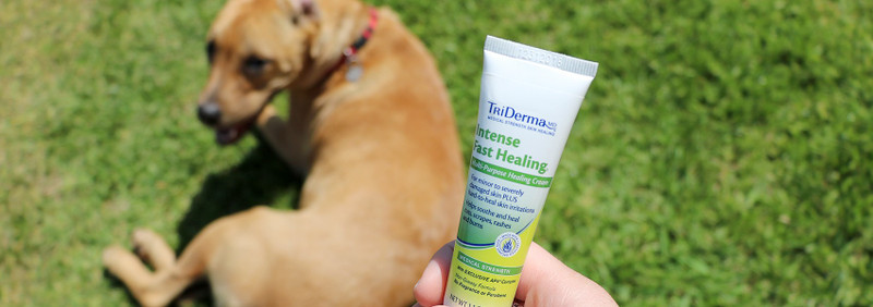 How Dogs Can Benefit From TriDerma’s Line Of Products How Dogs Can Benefit From TriDerma’s Line Of Products