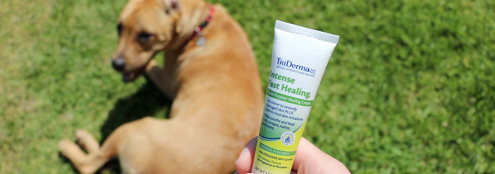 How Dogs Can Benefit From TriDerma’s Line Of Products