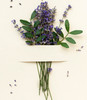 Lavender EO001