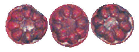 Image of Mayceys Raspberry Drops