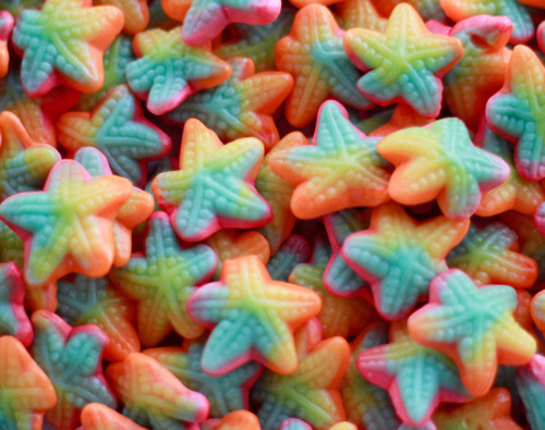 Image of SWL Starfish 2kg