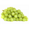 AutumnCrisp® Grapes Green Seedless AUS (G)
