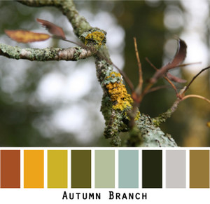 Autumn Branch - rust gold olive green sage seafoam black grey tree branch colors for green eyes, brown eyes, blonde hair, brunette redhead, grey hair - photo by Inese Iris Liepina, Wrapture by Inese