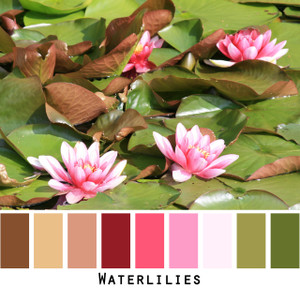 Waterlilies - brown gold deep ruby red pink pale rose olive green waterlily fronds and flowers - colors for green eyes, brown eyes, brunette - photo by Inese Iris Liepina, Wrapture by Inese