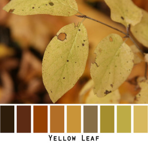 Yellow Leaf black brown gold yellow green colors in a photo by Inese Iris Liepina made into a color card for custom ordering from Wrapture by Inese