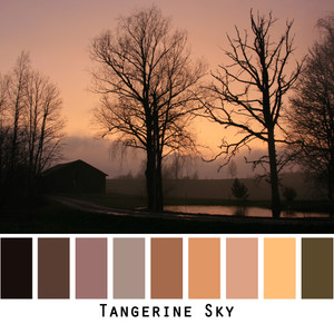 Tangerine sky photographed by Inese Iris Liepina with black silhouettes of trees and a barn with pond reflections made into a color card for custom orders from wrapture by Inese.