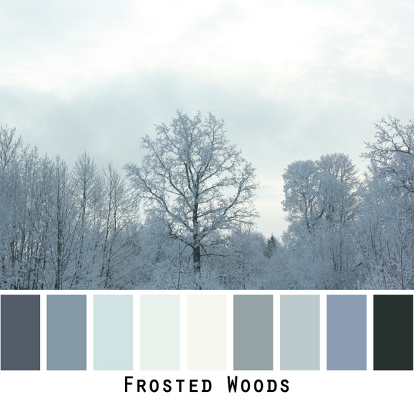 Frosted Woods - silver gray, warm grey snow covered trees, teal grey, colors for green grey brown eyes, grey black hair brunette, redhead, photo by Inese Iris Liepina, Wrapture by Inese