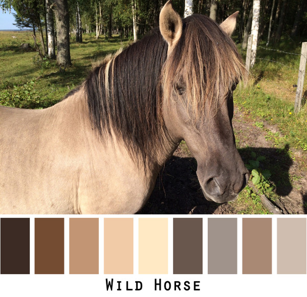 Wild Horse  - dusty brown wild mare neutral beige taupe colors for brown eyes,  brunette - photo by Inese Iris Liepina, Wrapture by Inese
