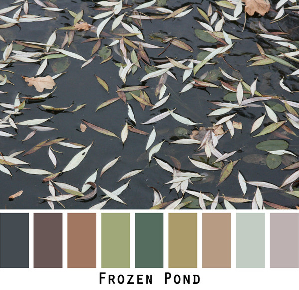 Frozen Pond - black ice with dusty pastel and mauve lichen gerrn olive brown willow leaves colors for green eyes, brown eyes, brunette, black hair - photo by Inese Iris Liepina, Wrapture by Inese