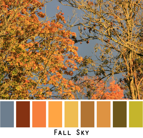 Fall Sky - reddish brown cinnamon peach mango gold tobacco olive celery the colors of autumn for blue eyes, green eyes, brown eyes, brunette, redhead, black hair - photo by Inese Iris Liepina, Wrapture by Inese