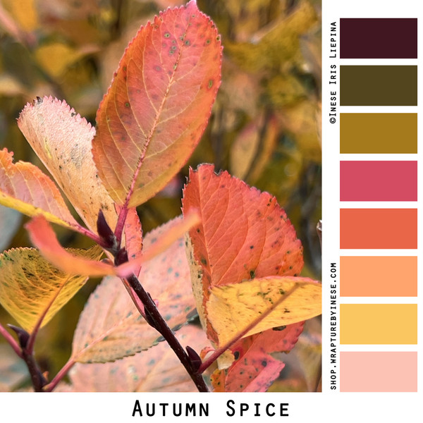 Autumn Spice