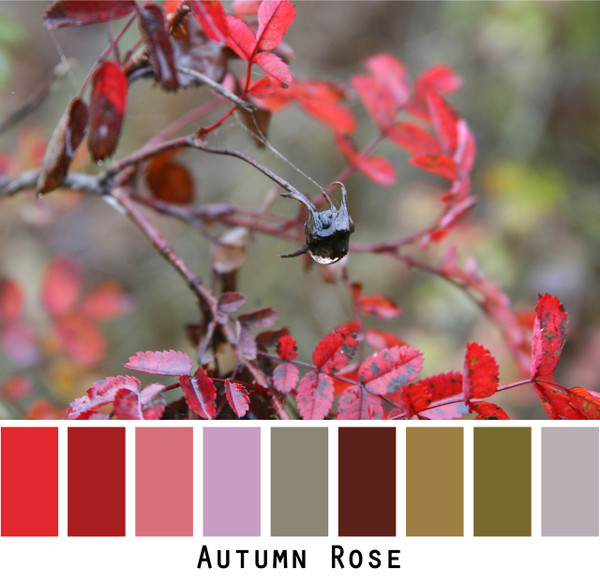 Autumn Rose - cool red raisin violet brown dusty lavender olive sage rose leaves for green eyes, brown eyes, brunette, black hair, photo by Inese Iris Liepina, Wrapture by Inese