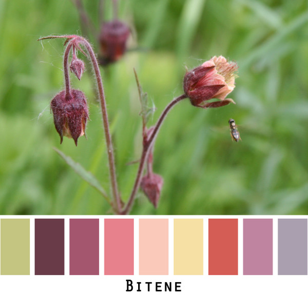 Bitene - raisin dusty rose peach butter yellow violet rust colors for blue eyes, green eyes, brown eyes, blonde hair, brunette, redhead, black hair, gray hair - photo by Inese Iris Liepina, Wrapture by Inese
