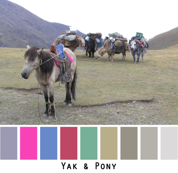 yak & pony -grey gray sage green dusty olive bright hot pink red bright blue grass green colors for blue eyes, green eyes, brown eyes, blonde hair, brunette, redhead, black hair, gray hair - photo by Inese Iris Liepina, Wrapture by Inese