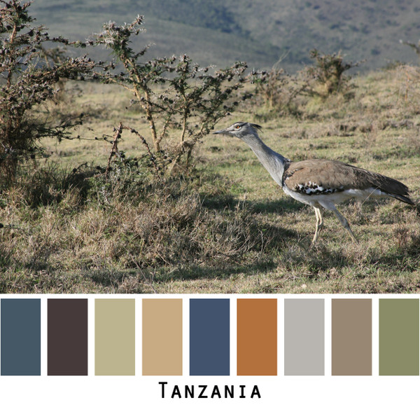 Tanzania - slate blue grey gray charcoal indigo blue rusty orange sage green taupe camel bird on a tanzanian plain for blue eyes, green eyes, brown eyes, blonde hair, brunette, redhead, black hair, gray hair - photo by Inese Iris Liepina, Wrapture by Inese