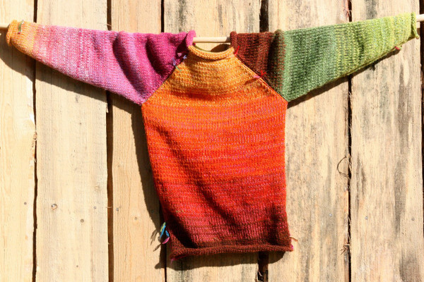 Echinacea kids raglan pullover sweater