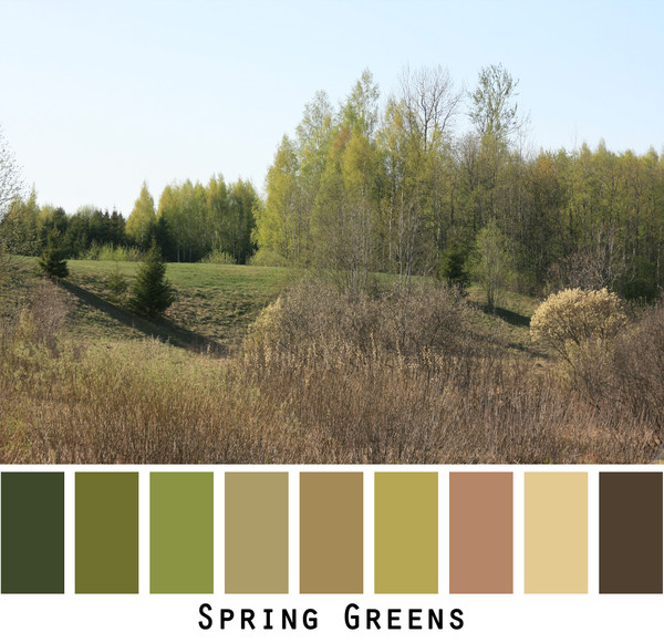 Spring Greens  in a meadow and forest setting that looks almost like a manicured landscape. Mother nature does it better. Photo by Inese Iris Liepina that can bee used for color inspiration if you want me to knit a sweater with green, olive, paprika, brown, gold.