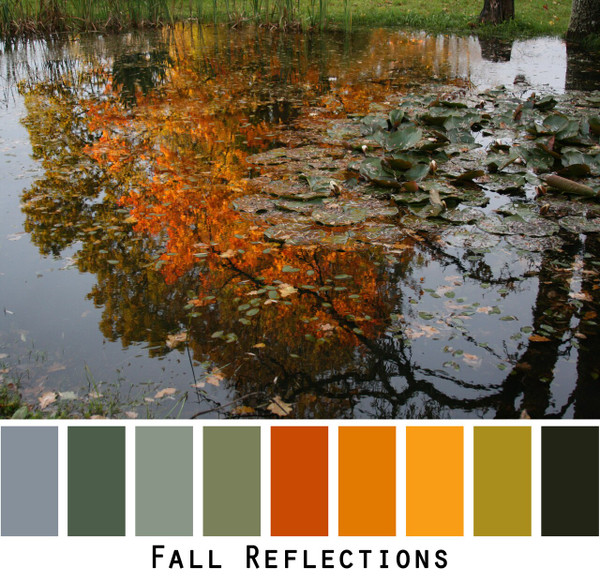 Fall Reflections photograph by Inese Iris Liepina made into a color card for custom ordering from Wrapture by Inese