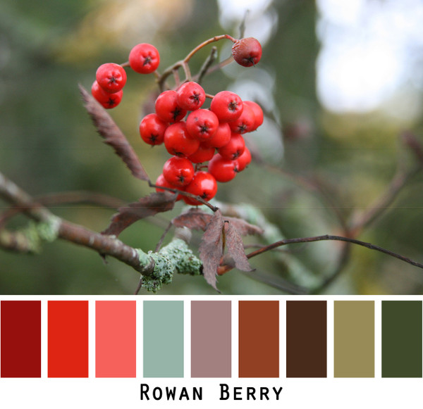 Rowan Berry photograph by Inese Iris Liepina made into a color card for custom ordering from Wrapture by Inese