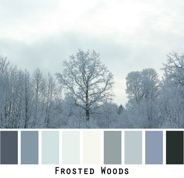 frosted woods photograph by Inese Iris Liepina made into a color card for Wrapture by Inese