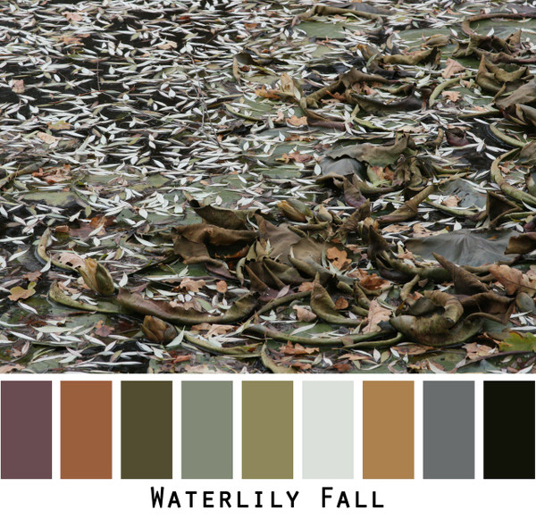 Waterlily Fall - brown raisin olive taupe charcoal black colors on a frozen waterlily pond colors for green eyes, brown eyes,  brunette, redhead, black hair, gray hair - photo by Inese Iris Liepina, Wrapture by Inese