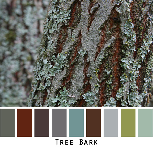 Tree Bark - steely blues and grey with green and red brown chocolate brown colors for blue eyes, green eyes, brown eyes, brunette, redhead, black hair, gray hair - photo by Inese Iris Liepina, Wrapture by Inese