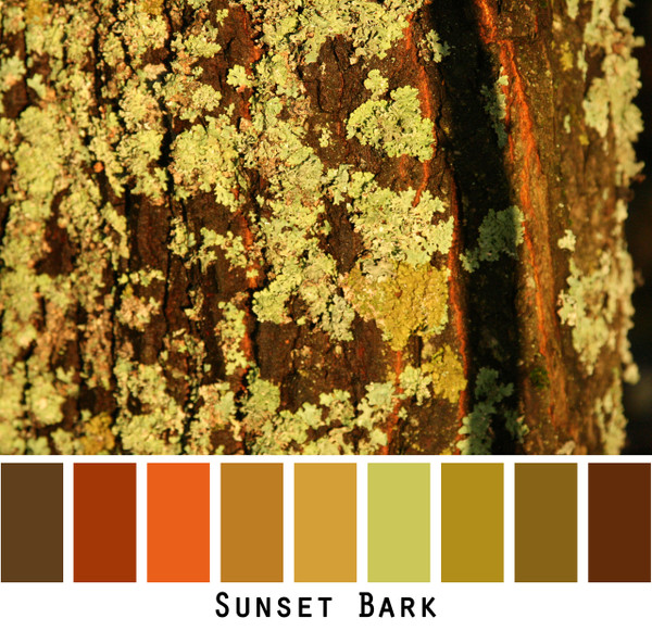 Sunset Bark - warm sunset glow red orange rusty brown chocolate gold olive green lime  chartreuse colors for green eyes, brown eyes, brunette, redhead, black hair - photo by Inese Iris Liepina, Wrapture by Inese