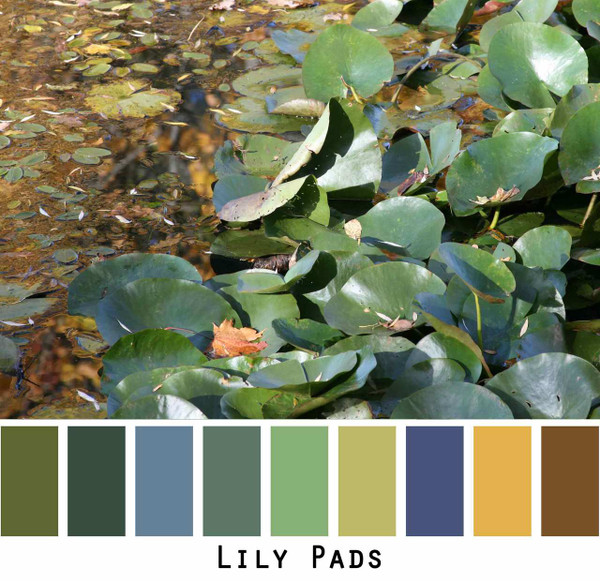 Lily Pads green teal olive lime gold navy brown photograph by Inese Iris Liepina